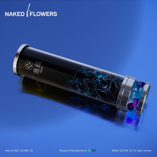 [XNK-1006] MEEET x Naked Inc. - Kaleidoscope (Ocean)